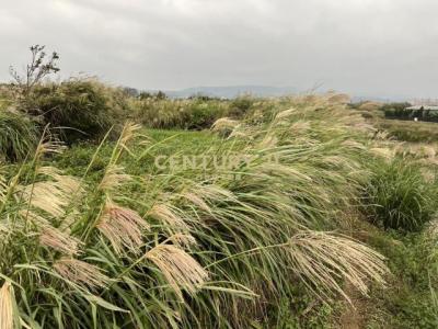 新庄段, Sanzhi Dist., Nouveau Taipei 252, Taïwan