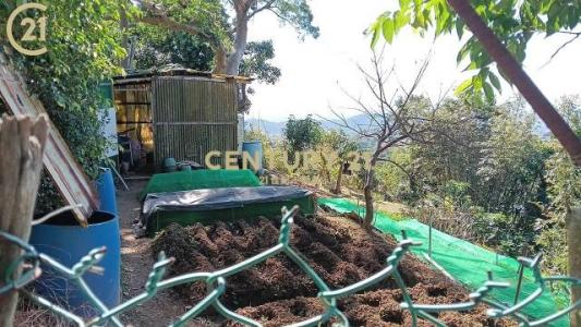 新安段五小段, Shilin Dist., עיר טייפה 111, טיוואן 