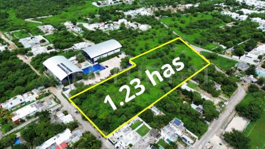 Mérida, Yucatan 97305, Mexico