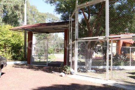 Rancho la mora sn,, Tarimbaro, Michoacán 58891, México