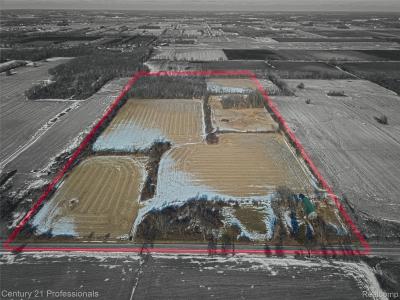 16390 Dryden Rd, Allenton, 密歇根州 48002, 美国