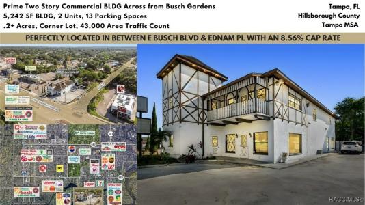 3601 E Busch Boulevard, Tampa, Floride 33612, États-Unis