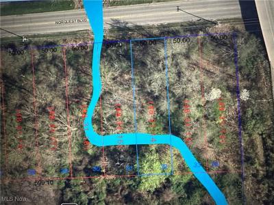 Norquest Boulevard, Austintown, أوهايو 44515, الولايات المتحدة