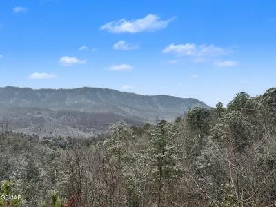 1R-1 Branam Hollow Road, Gatlinburg, Tennessee 37738, États-Unis