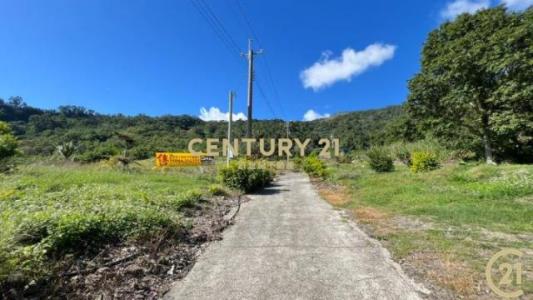 龍過脈段, Beinan Township, Taitung County 954, Đài Loan