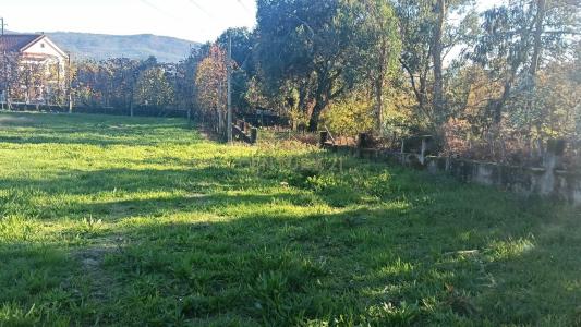 Guimarães, Braga 4805-181, Portugal