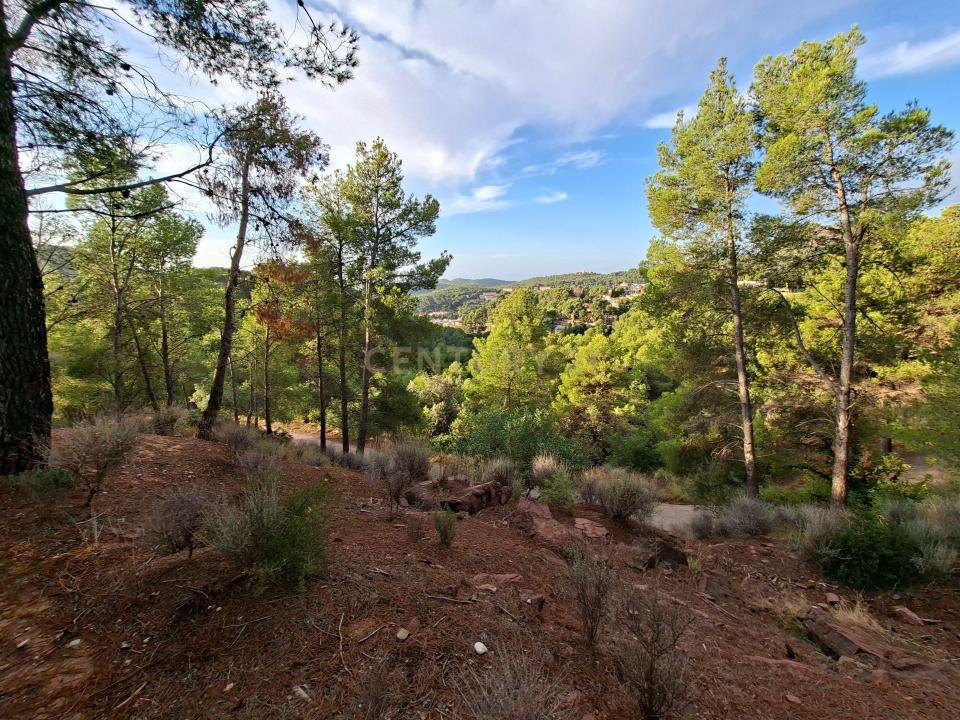 València/Valencia, Comunitat Valenciana 46118, إسبانيا