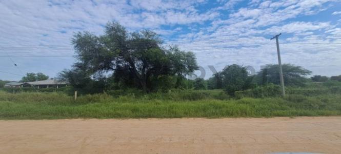 Calle Forestal , Loma Plata, Boquerón 00001, Paraguay