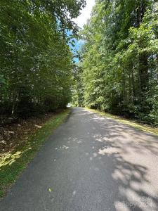 00 Old Haywood Road, Mills River, NC 28759, USA