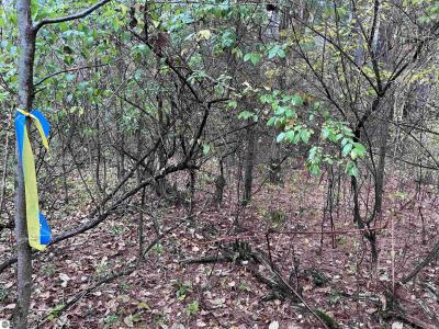 35 Wilber Road, Tawas City, Michigan 48763, USA