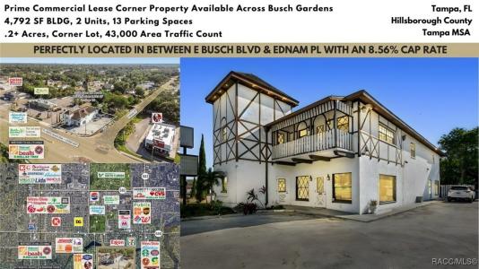 3601 E Busch Boulevard, Tampa, 佛罗里达州 33612, 美国