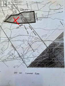 295-307 CEMETRY ROAD, Brigus, Ньюфаундленд И Лабрадор A0A 1K0, Канада