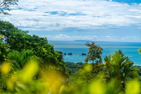 Quebrada , Bahía Ballena Osa, Puntarenas 00001, Costa Rica
