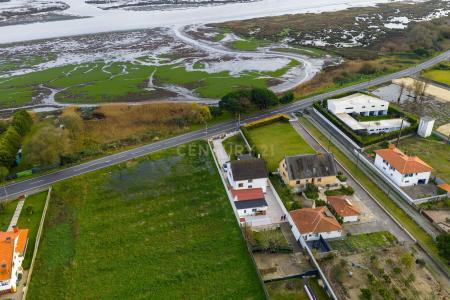 Ovar, Aveiro 3880-223, Portugal