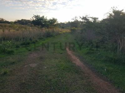 Yaguarón, Paraguarí 00001, Paraguay