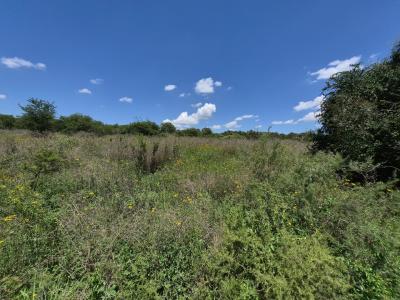 Walkerville, Gauteng, Afrique Du Sud