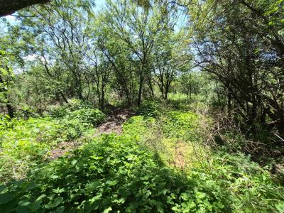 Walkerville, Gauteng, Afrique Du Sud