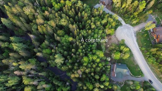 65T  Ch. de la Charmille, Mont-Tremblant, Quebec J8E 0C4, Canada