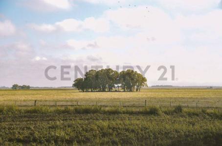 Logroño, Санта-Фе 3066, Аргентина