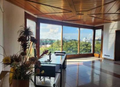 Sur, Santa Cruz 00001, Bolivie