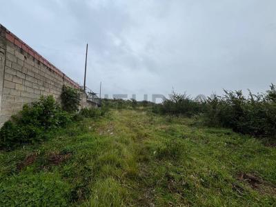 La Laja Calle 5, Capacho, Táchira 00001, Venezuela