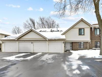 847 E Coach Rd Unit 1, Palatine, Illinois 60074, États-Unis