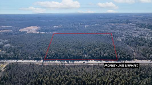 5XXX Highway 194, Hermantown, Minnesota 55811, États-Unis