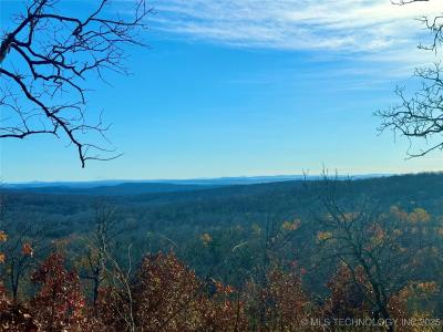 4540 Rd Road, Vian, Oklahoma 74962, Stati Uniti