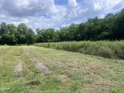 Lot 15 Nibor Way, Newport, Tennessee 37821, USA