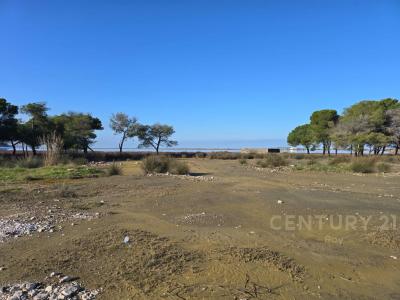 Sektori Rinia, Durrës, Albania