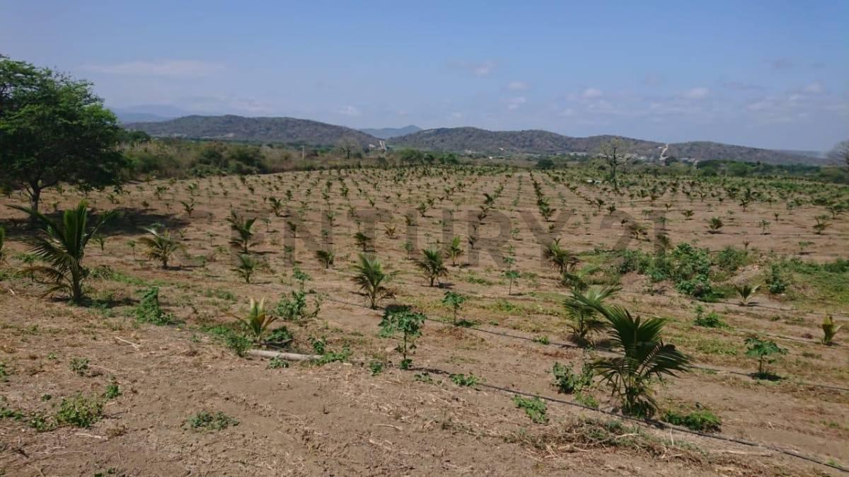 LOS BAJOS 001, Montecristi, Manabí 00001, الإكوادور