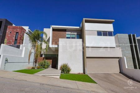 치와와, 치와와 31216, 멕시코