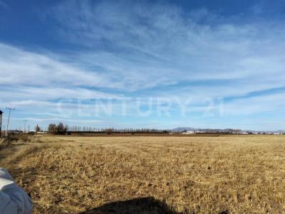 Ejército Nacional S/N,, Cuauhtémoc, Chihuahua 31512, Mexico