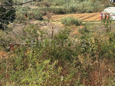 C. Hidalgo S/N,, San Antonio De La Cal, ولاية واهاكا 71236, المكسيك