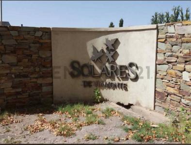 Viamonte , Chacras De Coria, Mendoza 5507, Argentine