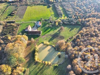 Olivet, Centre 45160, France