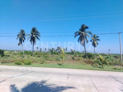 Acapulco, Guerrero 39893, Mexico