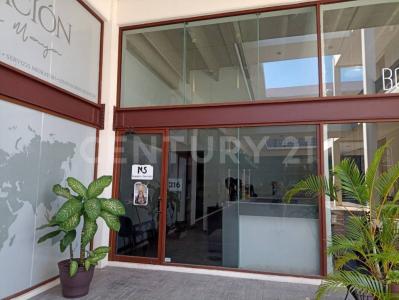 Solidaridad / Riviera Maya, Quintana Roo 77713, Mexique