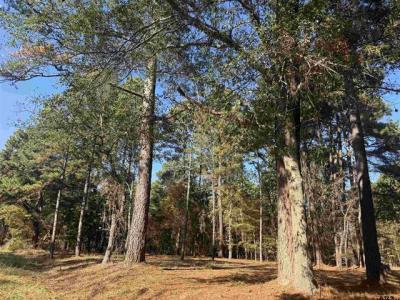 186 Susan Dr, Bullard, Texas 75757, USA