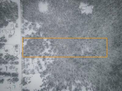 V/L Nichols Road, Holton, ミシガン 49425, アメリカ合衆国