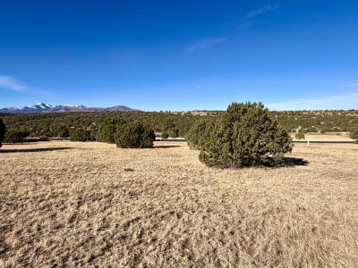 111 Rainmaker Drive, Alto, Нью-Мексико 88312, Соединенные Штаты