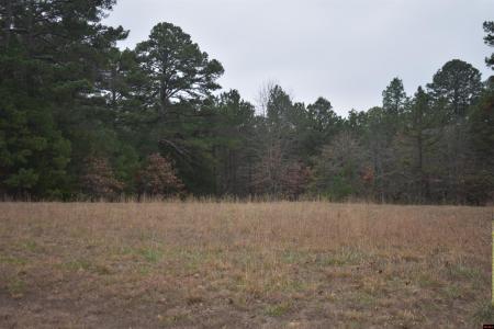 010-11219-038 SWISS ALPS LANE Lot 38, Mountain Home, Arkansas 72653, États-Unis