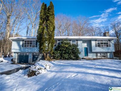 1117 Shagbark Lane, Stroudsburg, Pennsylvania 18360, USA