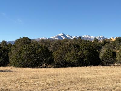 102 Tiwa Trail, Alto, Нью-Мексико 88312, Соединенные Штаты