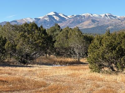 103 Cochiti Ct., Alto, Нью-Мексико 88312, Соединенные Штаты