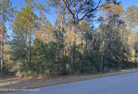 Lot 4+ Blair Avenue, Brooksville, Floride 34604, États-Unis