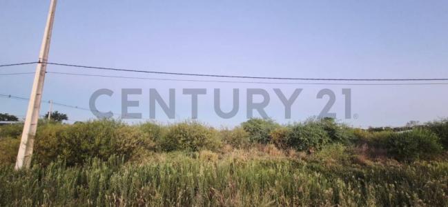 Filadelfia, Boquerón 00001, Paraguay