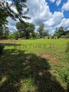 Paraguarí, Paraguarí 00001, פרגוואי