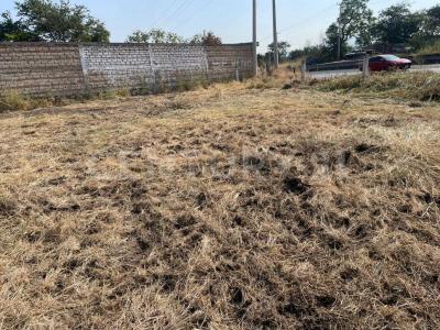 Carretera Barra de Navidad (La Hierbabuena) (federal 80) KM 7.2,, Acatlán De Juárez, 哈利斯科 45700, 墨西哥