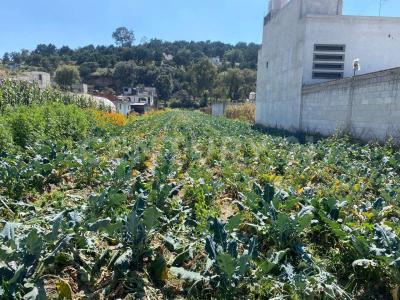 CARRA IXTACUIXTLA - ATOTONILCO SN,, Ixtacuixtla De M Matamoros, 特拉斯卡拉 90120, 墨西哥